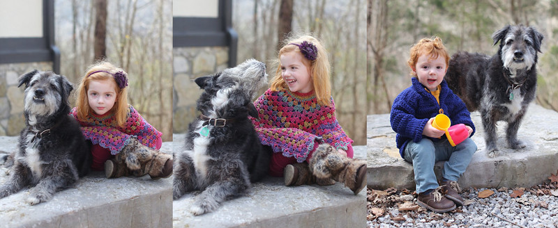 Our Home :: A year of living in the woods, Julie Roberts Photography