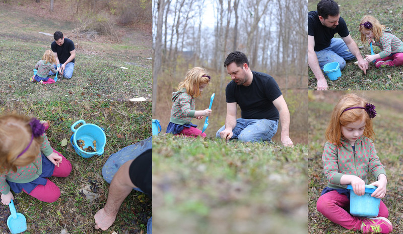 Our Home :: A year of living in the woods, Julie Roberts Photography