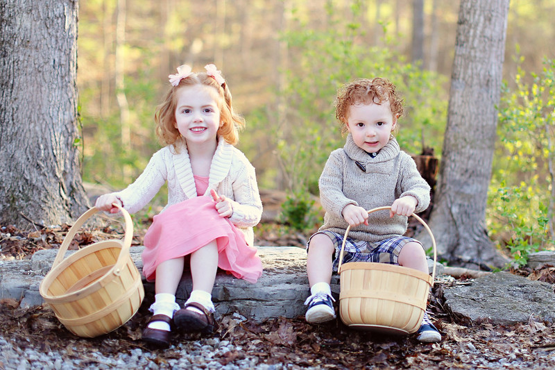 Our Home :: A year of living in the woods, Julie Roberts Photography